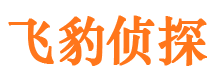 石龙外遇出轨调查取证